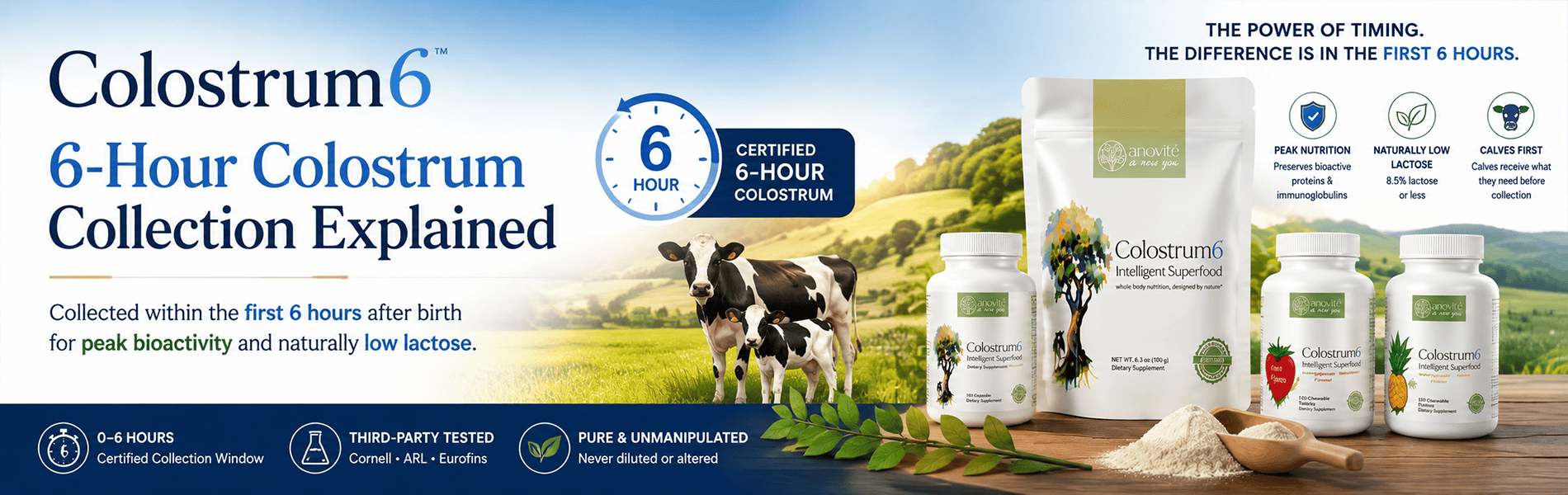 Colostrum6 6-hour colostrum banner showing bovine colostrum products, cow and calf, and the certified first 6-hour collection window
