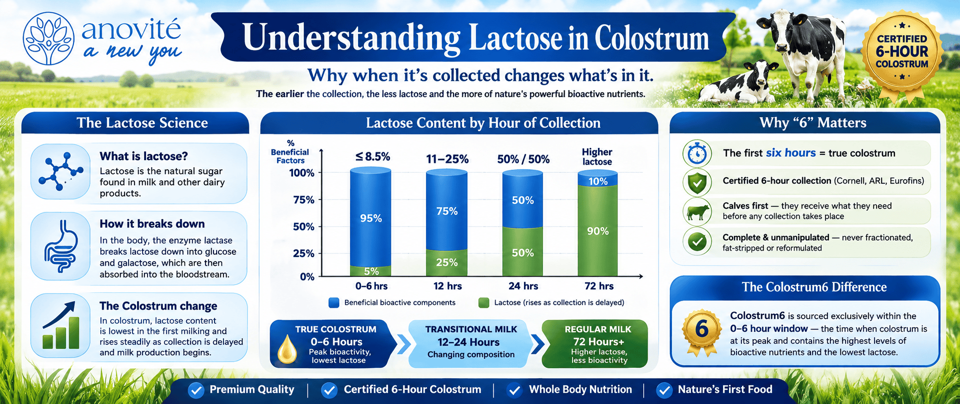 Colostrum6 infographic explaining lactose levels and the benefits of certified 6-hour bovine colostrum collection