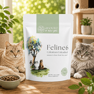 Anovité Feline6 Colostrum Unleashed Pouch for Cats with Fluffy Cats and Food Bowl