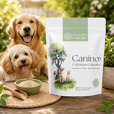 Canine6