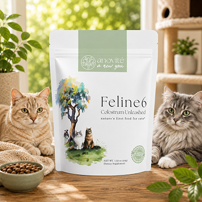 Feline6